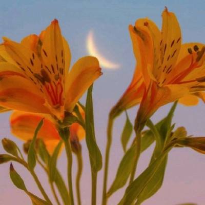 hth华体育(中国)官方入口